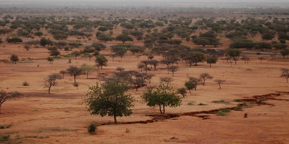 Sahel : Attaque meurtrière sur 4 infirmiers à Kelbo , une infirmière tuée