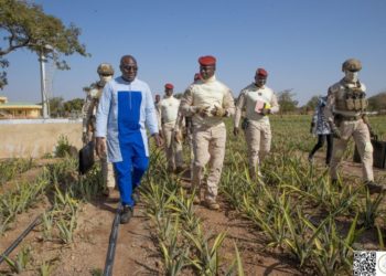 Offensive agropastorale et halieutique