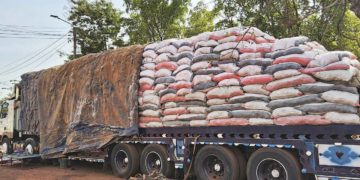 Trafic de cyanure : La CNLF saisit un record de 880 sacs de 50 kg