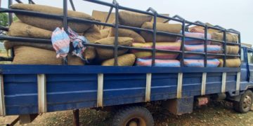 Lutte contre la fraude à l’exportation : plus de 50 tonnes de noix de cajou saisies à Kpuéré