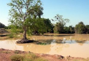 Zorgho: trois écoliers se noient au secteur 6