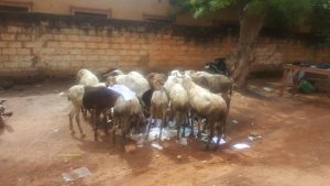 Les nouvelles du quartier: Prési au quartier nos…