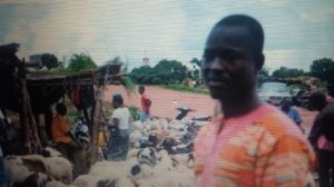 Tabaski à Bobo-Dioulasso Un business autour du mouton