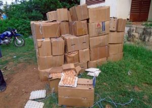 Gaoua : Saisie de 84 000 œufs de…