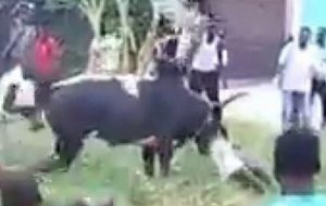 Côte d&rsquo;Ivoire: Tabaski, un «Binguiste» tué par son…