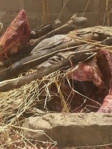 Tenkodogo: une grande quantité de viande impropre à…