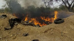 Pô: plus de 1800 peaux d&rsquo;ânes incinérées