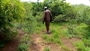 Burkina : les services en alerte face à…