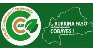 Société: Une OSC dit NON aux Moustiques Génétiquement…