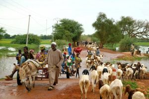 Conférence de presse de l’ANAM : Un cumul…