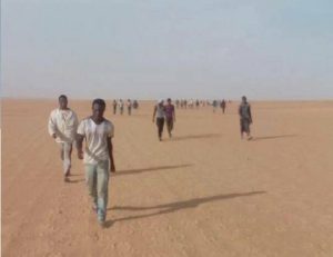 Immigration: L’Algérie accusée d’avoir «abandonné dans le désert»…