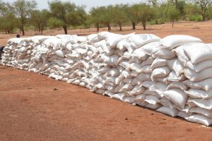 Crise alimentaire dans le village de Noogo, province…