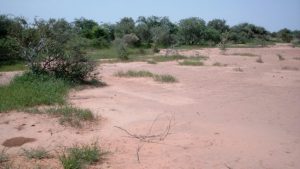 Burkina Faso – Terrorisme: Le fils du PDG de la mine d’or d’Inata libéré par ses ravisseurs