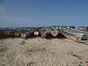Nouveau naufrage de migrants au large des côtes…