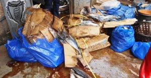 Produits alimentaire impropre: Du poisson avarié saisi à Gaoua