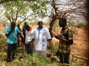 Burkina : “Il faut sauver La forêt de Yacouba Savadogo ”