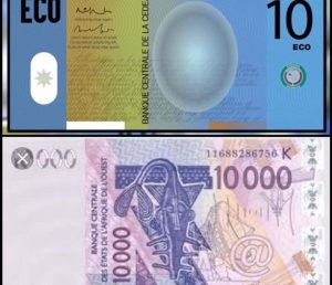 CFA-Eco : la monnaie unique de la Cedeao « différée à une date ultérieure »