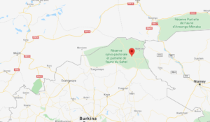 Gorom-Gorom(Petabouilli) : les VDP exécutent une cinquantaine de…