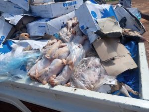 Société: Saisie et incinération de 1,5 tonnes de poulets et de poissons avariés.