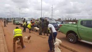 Ouagadougou: La police municipale en guerre contre  la divagation des animaux dans la ville