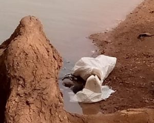 kaya: trois bébés découverts au barrage de Dimassa en deux mois