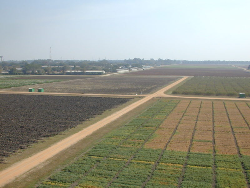 Communiqué de presse: ICRISAT reçoit…