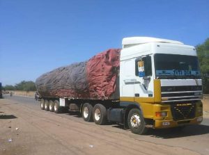Burkina Faso : 80 tonnes de céréales saisies pour exportation illégales