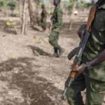 Libération d'otages au Bénin
