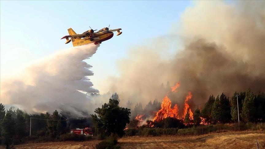 Algérie : 34 morts et 194 blessés dans des incendies
