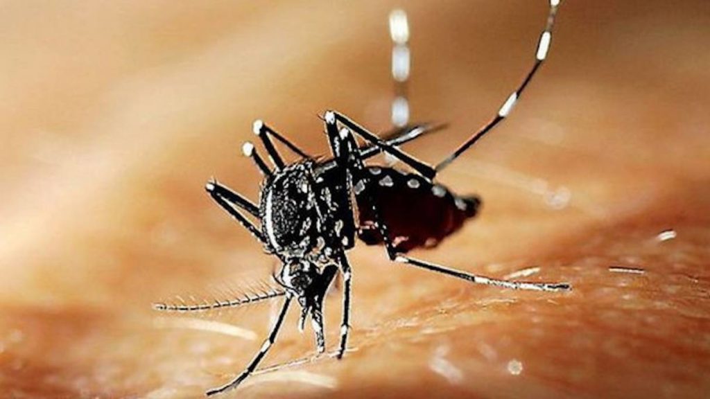 Chikungunya: 89 cas signalés au Burkina Faso