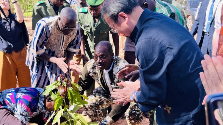 Ouagadougou : Shanghai finance un projet agroforestier ambitieux