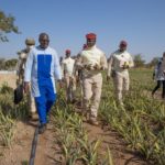 Offensive agropastorale et halieutique