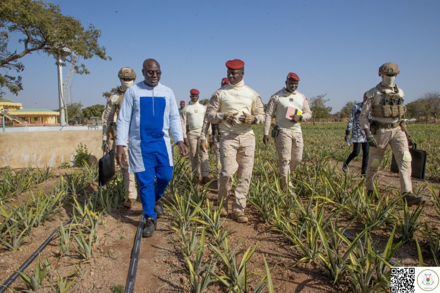 Offensive agropastorale et halieutique