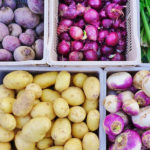 Conseil burkinabè des filières agropastorales et halieutiques : Une nouvelle structure pour le développement durable au Burkina Faso