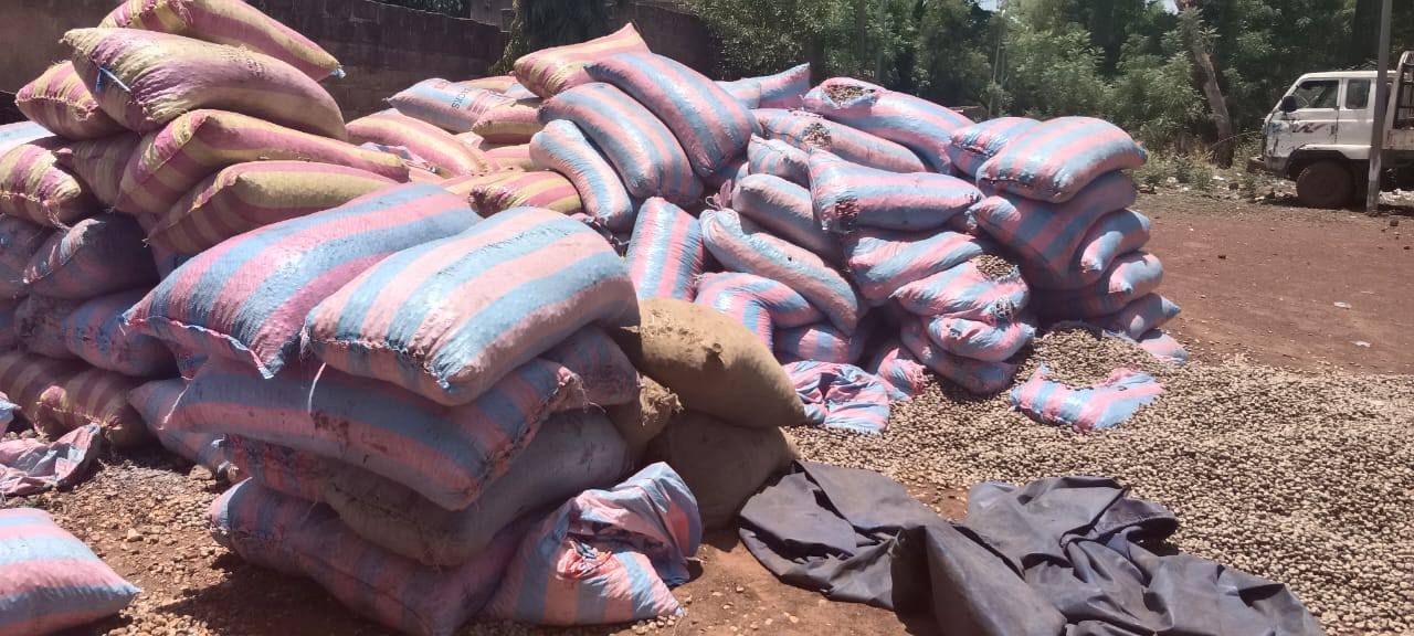 Lutte contre la fraude à l’exportation : plus de 30 tonnes de noix brute de cajou saisies