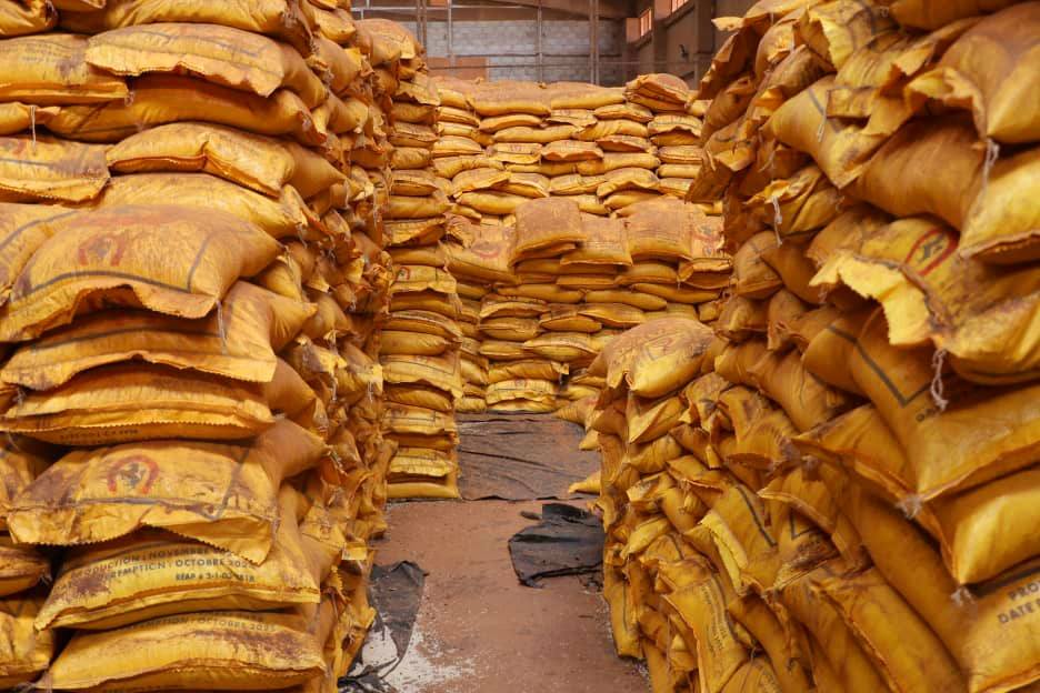 Protection de la santé publique : 1 040 tonnes de riz avarié transformées en engrais biologique