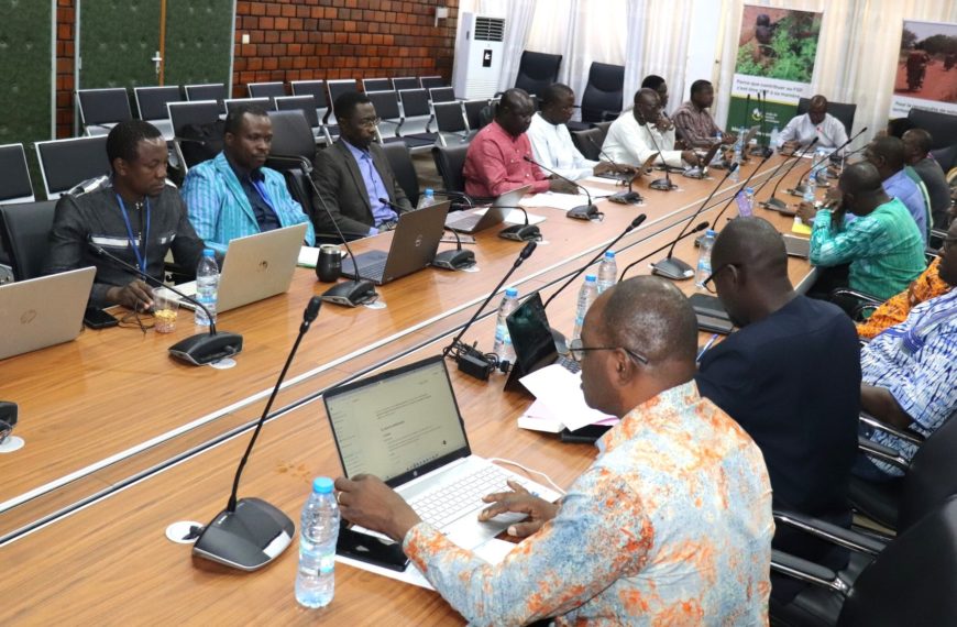 Document de politique fiscale du Burkina : le Comité en session pour valider la feuille de route
