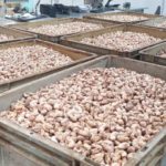Sauvetage de l’entreprise ANATRANS : 1 300 emplois préservés grâce à un appui du fonds DUMU KAFA