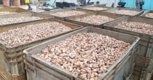 Sauvetage de l’entreprise ANATRANS : 1 300 emplois préservés grâce à un appui du fonds DUMU KAFA
