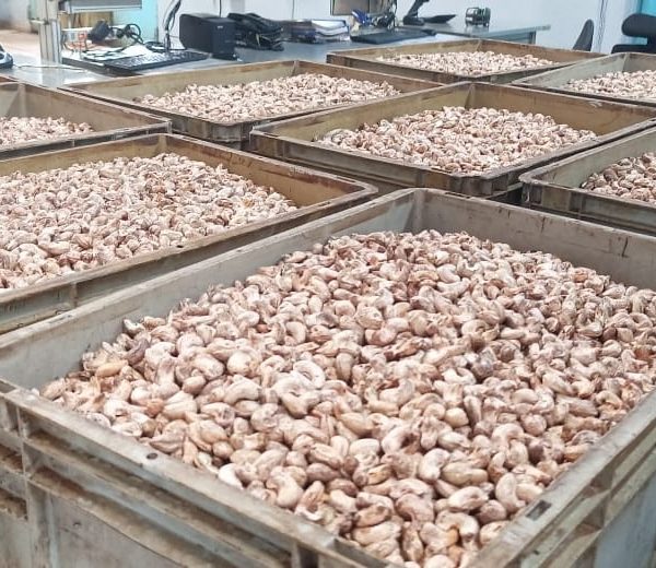 Sauvetage de l’entreprise ANATRANS : 1 300 emplois préservés grâce à un appui du fonds DUMU KAFA