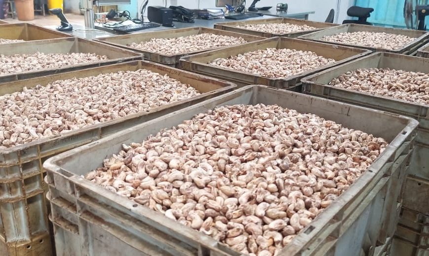 Sauvetage de l’entreprise ANATRANS : 1 300 emplois préservés grâce à un appui du fonds DUMU KAFA