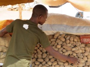 Interdiction d’importation de pommes de terre