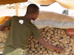 Interdiction d’importation de pommes de terre