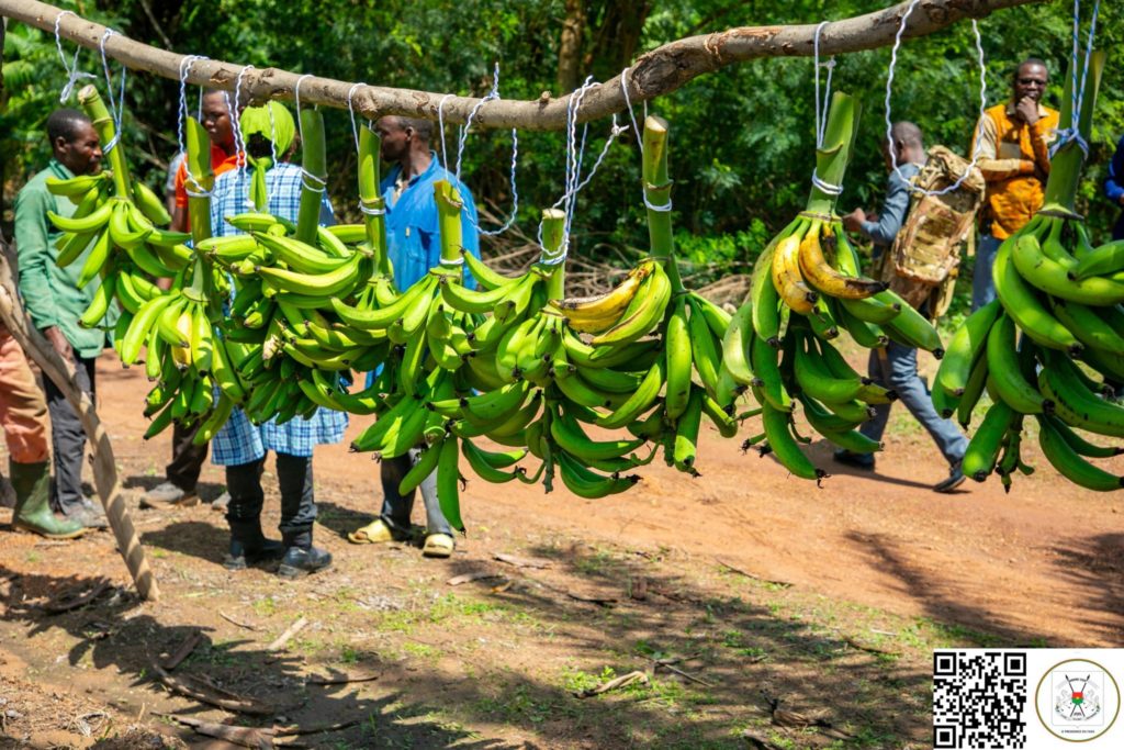 Alloco produit au Burkina FAso