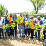 Initiative présidentielle pour la production agricole : une banane plantain 100 % burkinabè dans nos assiettes