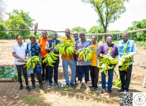 Initiative présidentielle pour la production agricole : une banane plantain 100 % burkinabè dans nos assiettes