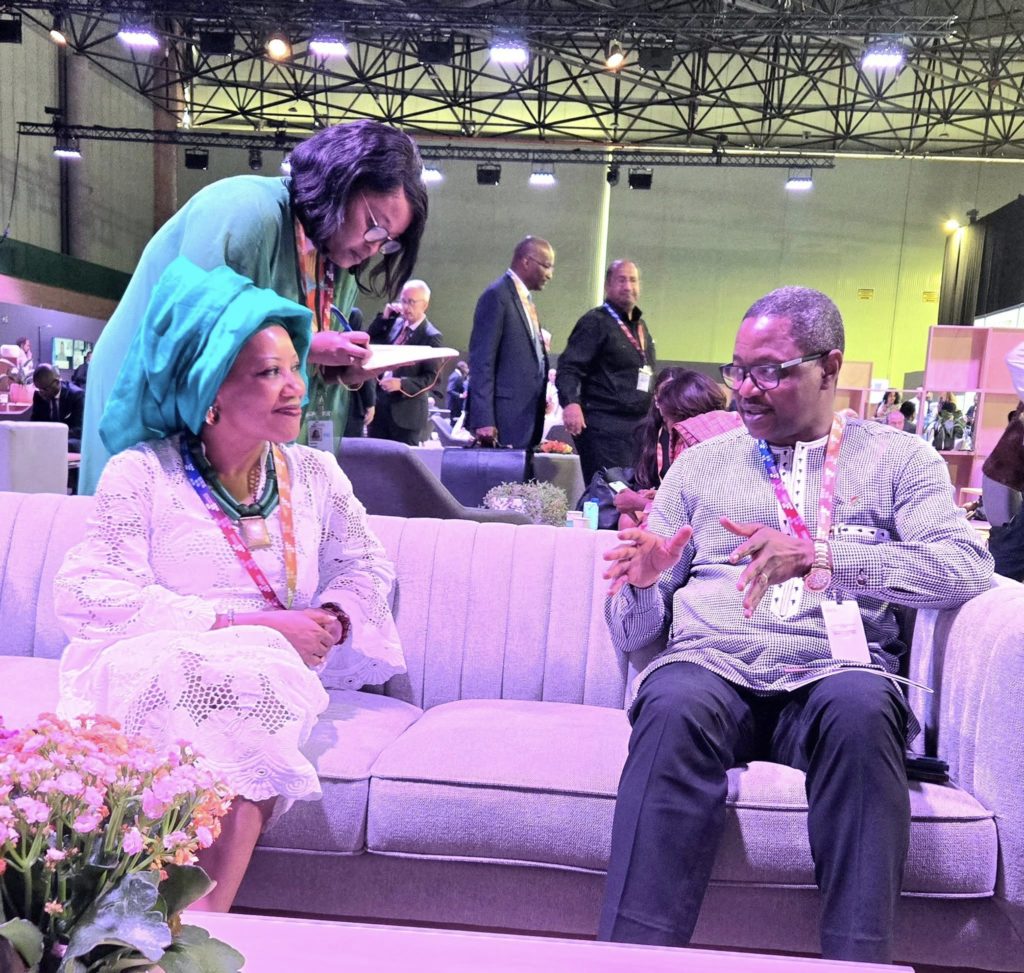 Audience avec Mme Nana TOURE, Directrice du Club du Sahel et de l'Afrique de l'Ouest, une structure affiliée à l'OCDE,