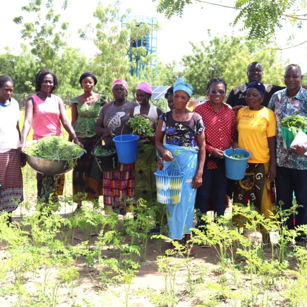 Jardins nutritifs : le PUDTR renforce la sécurité alimentaire des ménages vulnérables