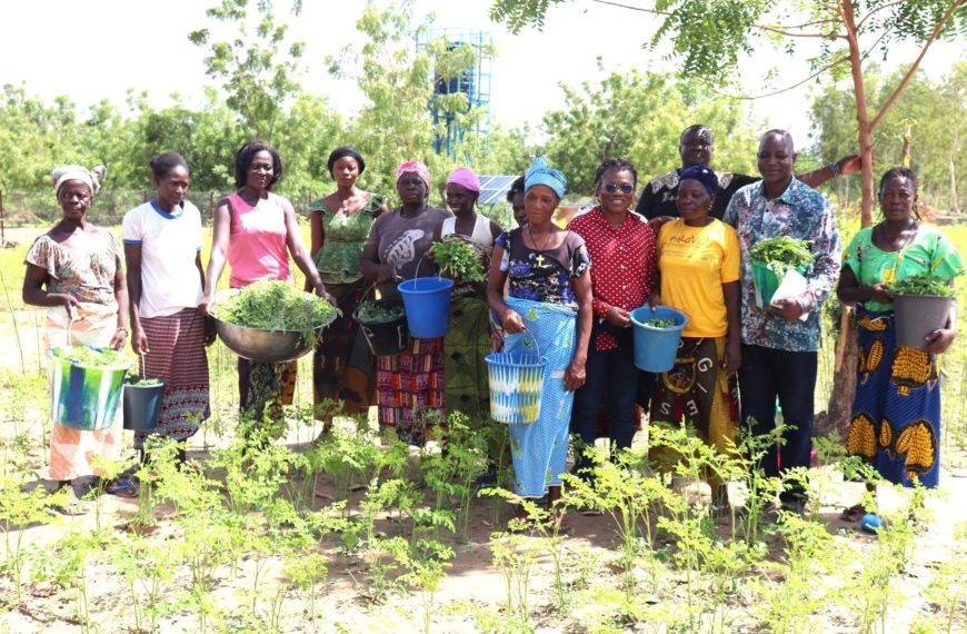 Jardins nutritifs : le PUDTR renforce la sécurité alimentaire des ménages vulnérables
