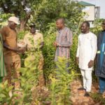 Campagne de reforestation 2025 : 7000 plants offerts au Président du Faso par le CFP-MEB